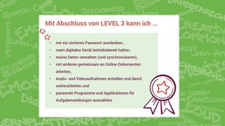 Screenshot der Checkliste Digital LEVEL-UP Licence Level 3